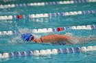 Swimming & Diving vs Babson  Swimming & Diving vs Babson College. - Photo by Keith Nordstrom : Wheaton, Swimming